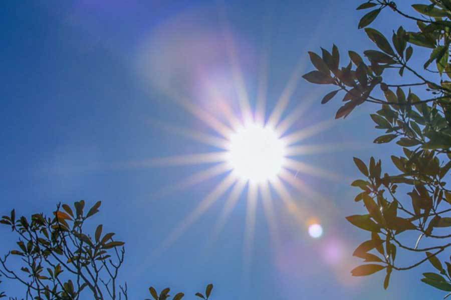 前两分钟便, 本报讯 前两分钟便, 本报讯